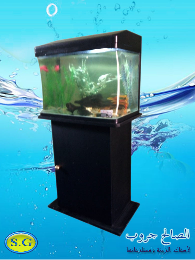 الصالح جروب