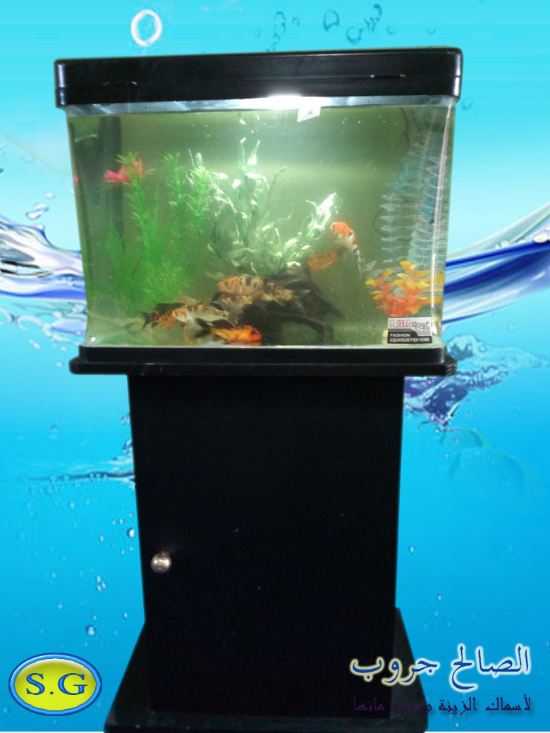 الصالح جروب