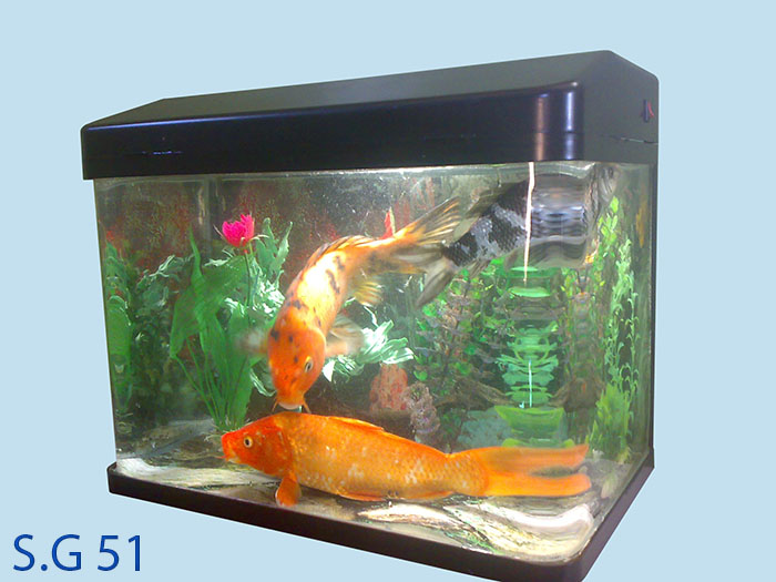 الصالح جروب