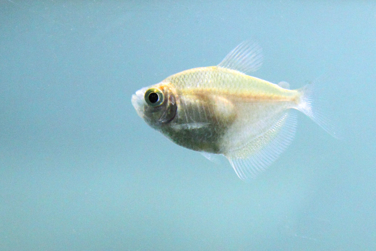 الصالح جروب