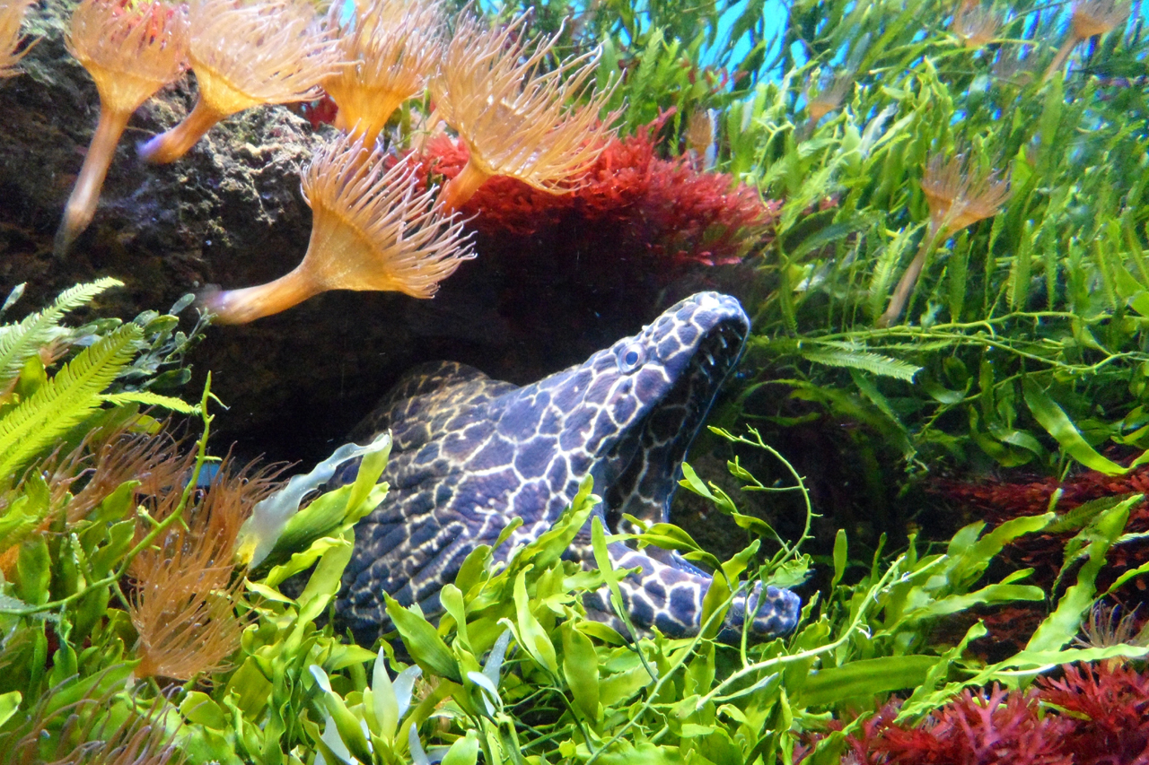 الصالح جروب